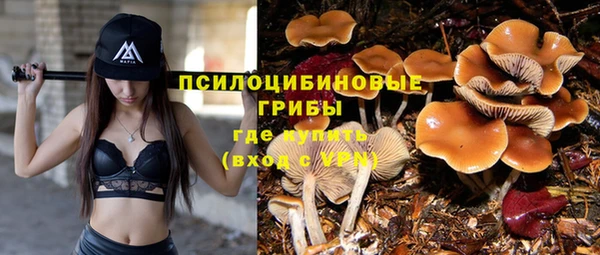 сатива Володарск