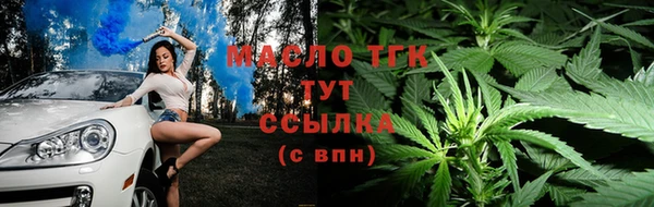 сатива Володарск