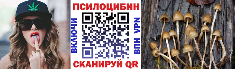 это телеграм Энем Псилоцибиновые грибы Psilocybe купить закладку МЕГА маркетплейс